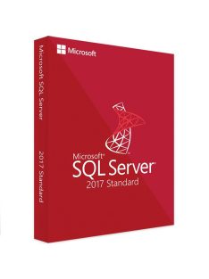 Windows SQL Server 2017 Standard - Cumpărați licență digitală de la vrsoftware.ro