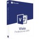 Microsoft Visio Professional 2019 (1 dispozitiv / Lifetime) (Mutabil)