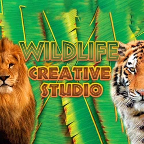 Wildlife Creative Studio (1 dispozitiv / Lifetime) (Steam)