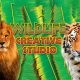 Licență Wildlife Creative Studio (1 dispozitiv / Lifetime) (Steam)