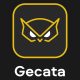 Gecata by Movavi 6 - Streaming and Game Recording Software (1 dispozitiv / Lifetime) (Steam)