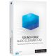 Magix Sound Forge Audio Cleaning Lab 4 (1 dispozitiv / Lifetime)